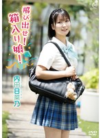 飛び出せ!箱入り娘!/内田日菜乃